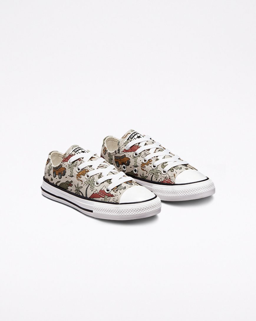 Boys' Converse Chuck Taylor All Star Desert Explorer Low Top Shoes Beige | AU 3C814H